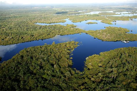 cuando se formo el rio amazonas