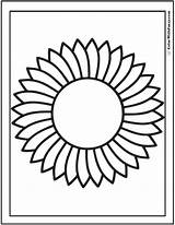 Sunflower Colorwithfuzzy Outline sketch template