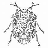Bedbug Vecteezy sketch template