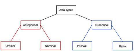 guide  data types  statistics built
