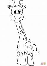 Girafa Sponsored sketch template