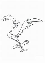 Runner Roadrunner Coyote Looney Tunes Coloringhome sketch template