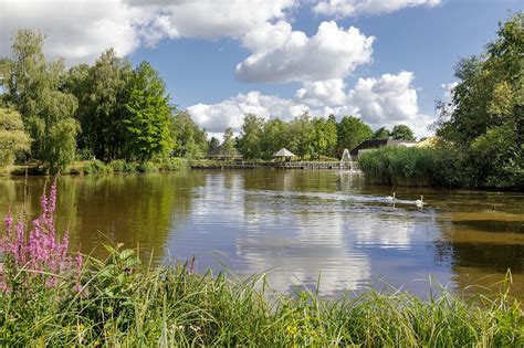 center parcs limburgse peel america nederland fotos reviews en prijsvergelijking