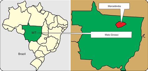 Brazil Map Mato Grosso