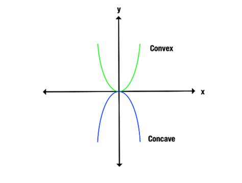concave  convex whats  difference  word counter