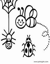 Insectos sketch template
