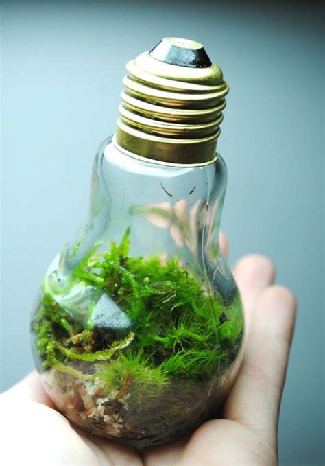 awesome diy ideas  recycling  light bulbs architecture design