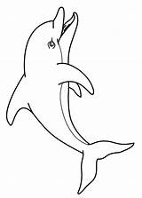 Delfini Delfino Animali Pianetabambini sketch template