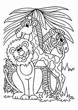 Coloring Giraffe Zebra Lion sketch template