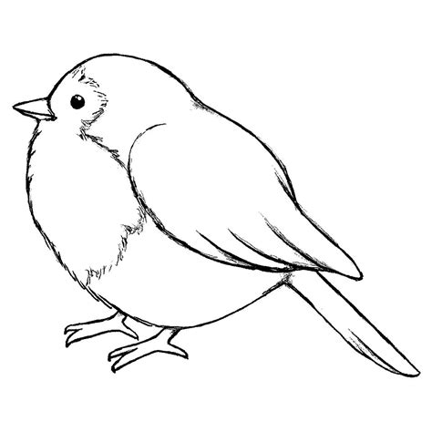 bird drawings bird outline bird template