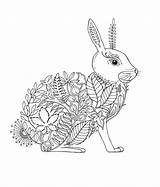 Coloring Forest Enchanted Pages Colouring Adult Book Basford Johanna Books Animal Garden Artist Rabbit Mindfulness Inky Amazon sketch template