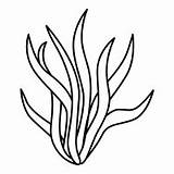 Seaweed Drawing Kelp Coloring Pages Forest Simple Clipartmag Collection Paintingvalley Drawings Transparent Getdrawings sketch template
