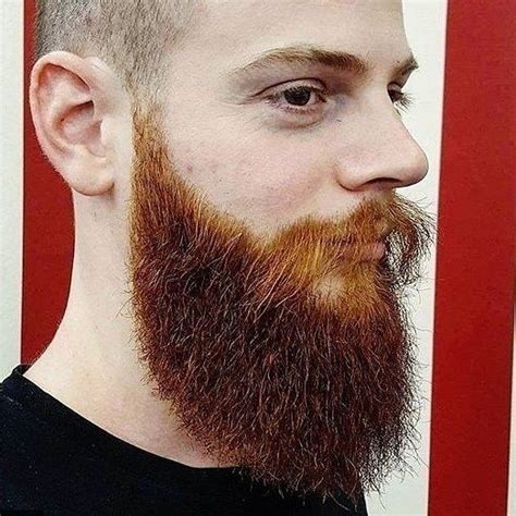 amazing red beard ataletambtag   featured beard beards beardy