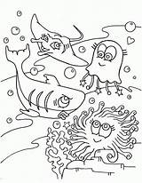 Coloring Pages Sea Shark Ocean Creatures Animals Printable Animal Color Cute Oceans Number Life Anime Kids Fish Blue Other Natural sketch template