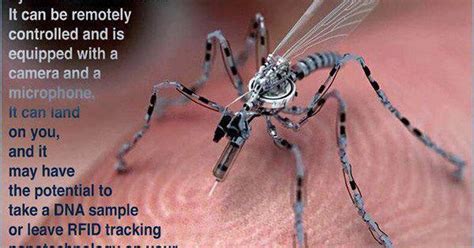 insect spy drone  records takes dna specimen   inject  newsrescuecom