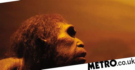 breakthrough research shows how much sex humans had with neanderthals