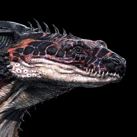 realistic dragon ideas  pinterest  dragon dragon