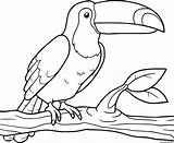 Toucan Oiseau Tukan Amerique Tucano Desenho Kolorowanki Dzieci Tucan Mosaico Riscos Selvagens Acessar sketch template