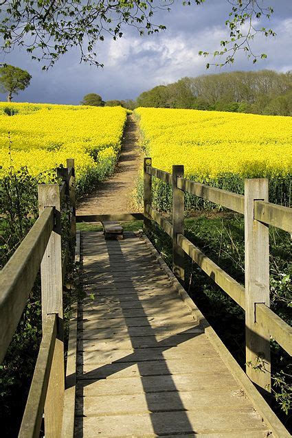 Foot Bridge And Path Through The Fields Northiam East