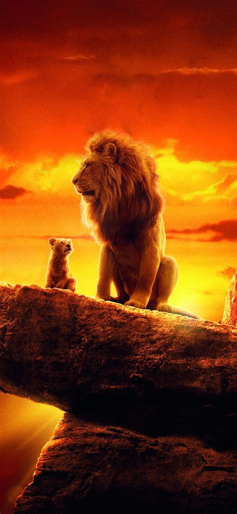 lion king    iphone wallpapers