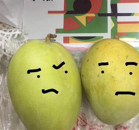 mango rfunny