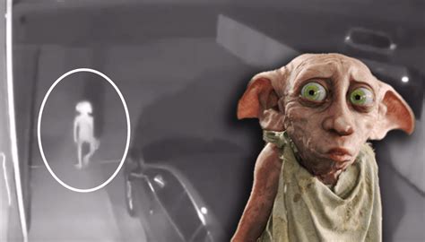 weird security camera footage   dobby  harry potter