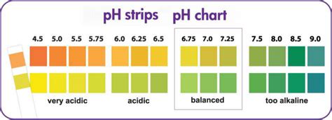 Ph Urine And Saliva Test Strips Buy Ph Diagnostic Test Strips Ph