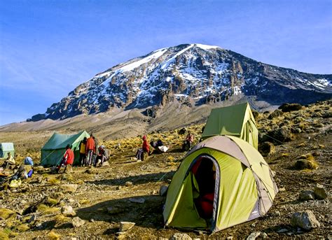 mount kilimanjaro climbing  days africa kenya safaris