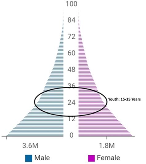 1 Nigeria S Population Pyramid 2020 9 Download