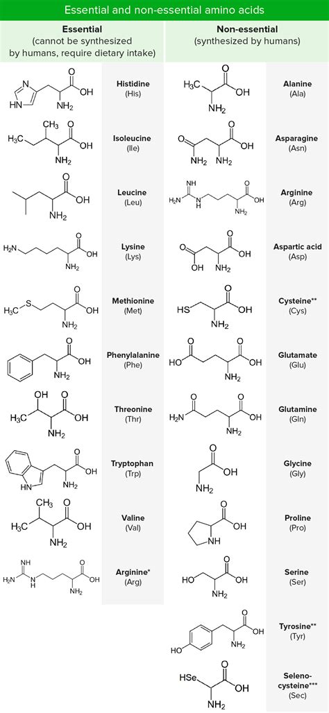 basics  amino acids concise medical knowledge