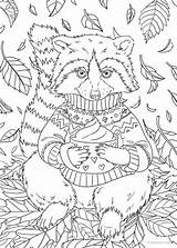 Raccoon Favoreads Racoon Colouring Adulte Print Vendu sketch template