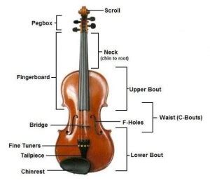 find  correct violin  viola