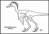 Coelophysis Coloring Sinornithosaurus Popular sketch template