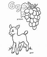 Coloring Pages Goat Grapes Alphabet Letter Abc Sheets Printable Activity Color Kids Sheet Print Letters Gif Geography Colouring Numbers Animal sketch template