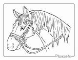 Horse Coloring Pages Bridle Head Printable Easy Kids Adults Printables sketch template