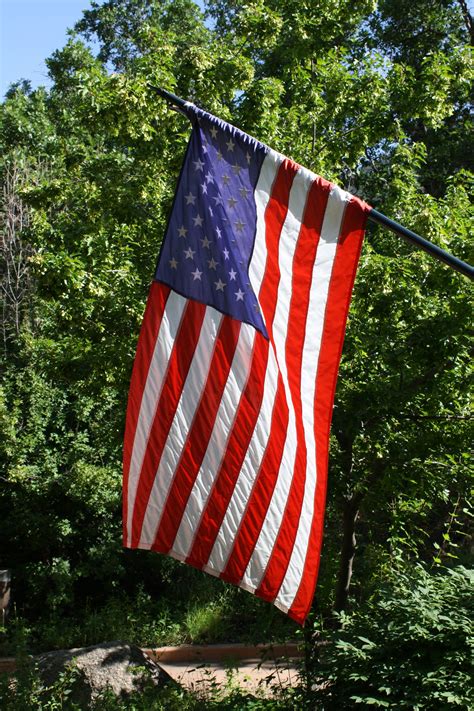 american flag  foliage   background picture  photograph  public domain