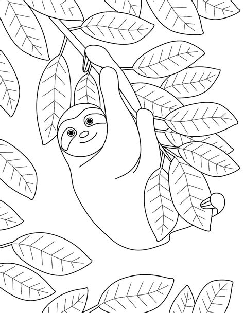 sloth pages printable coloring pages