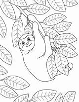 Sloth Colouring sketch template