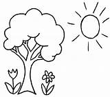 Pohon Mewarnai Sketsa Kartun Bunga Menggambar Kolase Paud Cemara Warna Sltp Slta Terkini Umur Sukagambarku Mediasiana Sumber Kumpulan sketch template
