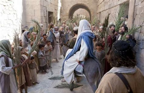 jesus fulfilled  prophesy  palm sunday standing  christ