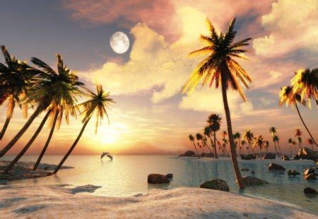 beautiful tropical beach beaches nature background wallpapers