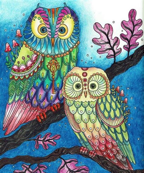 owl coloring pages  colored galore blogging picture show
