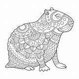Capybara Coloring Vector Illustration Book Rodent Lines Lace Animal Pattern Dreamstime Illustrations Vectors Stock sketch template