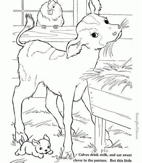 animal coloring page  kids printable coloring pages  coloring home