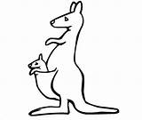 Kangaroo Outline Drawing Template Templates Colouring Pages Paintingvalley sketch template