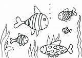 Coloring Betta Getcolorings Fish Pages sketch template