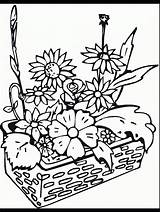 Coloring Pages Flowers Plants Flower Garden Gardens Desert Primarygames Printable Color Begonia Flori Cu Desene Imagini Science Popular для Sheet sketch template