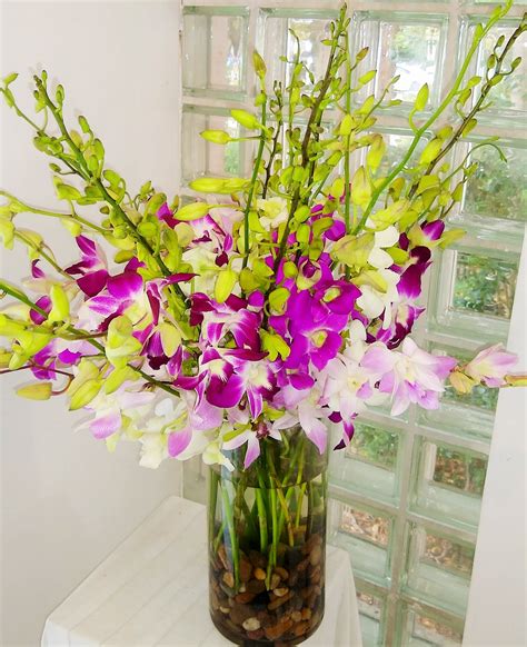 luminous luxury  stem orchid bouquet  miami beach fl miami beach