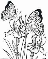 Coloring Butterfly Morpho Blue Getcolorings But sketch template