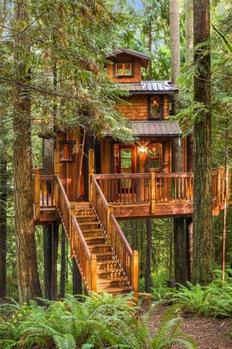 gorgeous tree house   dream bunkie cottage life